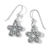 Illumina Daisy Petite French Wire Earrings -Cheap Gleamy Adorn Store illumina daisy petite french wire earrings silver 0 d7dcb3ee 1416 452d b60d 97f79810431f