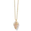 Paradise Cove Spiral Shell Necklace -Cheap Gleamy Adorn Store paradise cove spiral shell necklace gold 0 3931c60d 2705 412d 85ec 003e8cb4a96c